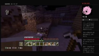 マインクラフト2　8