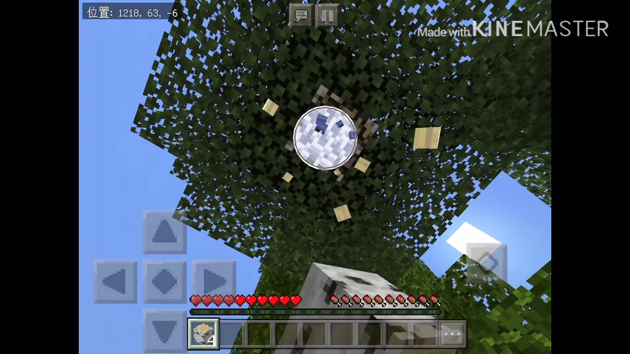 ゴッキーのマインクラフトサバイバル【#1】