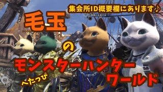 ［モンスターハンターワールド］へたっぴ女のモンハンワールド！集会所ID概要欄にあります！
