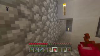 [Minecraft]ベジタリアンの地下移住(クライフ視点)[マインクラフト][概要欄読んでね]