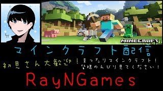 #7【マインクラフト】村をおしゃれ？にしたい！【雑談配信】