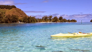 [PUBG]PS4 pubg 初心者のドン勝目指して！視聴参加歓迎