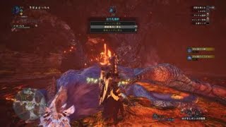 モンスターハンター：ワールド_20190510183146