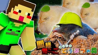 【マイクラ】鳳様とリセットさんと再び鬼ごっこ生放送【マインクラフト実況】
