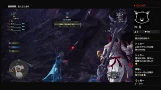 金冠集めなどしてます！！　参加自由ッス～　モンスターハンターワールド