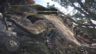 モンスターハンター：ワールド　狩り生活「１１」