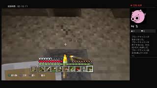 マインクラフト２　12