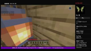 視聴者参加型！自作ミニゲーム　マインクラフト