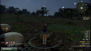 真・三國無双８_雷熊