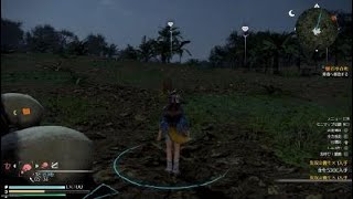 真・三國無双８_雷熊