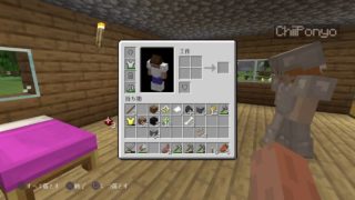 彼女とゆく、SMプレイのマインクラフト