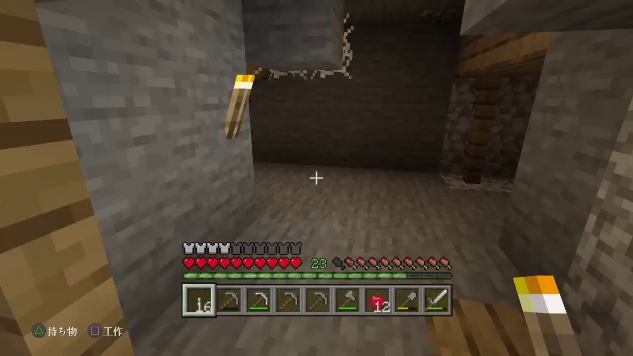 マイクラ　マインクラフト　村を占領してます