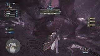 モンスターハンター：ワールド 極ベヒーモスとか言う雑魚 死人出ました