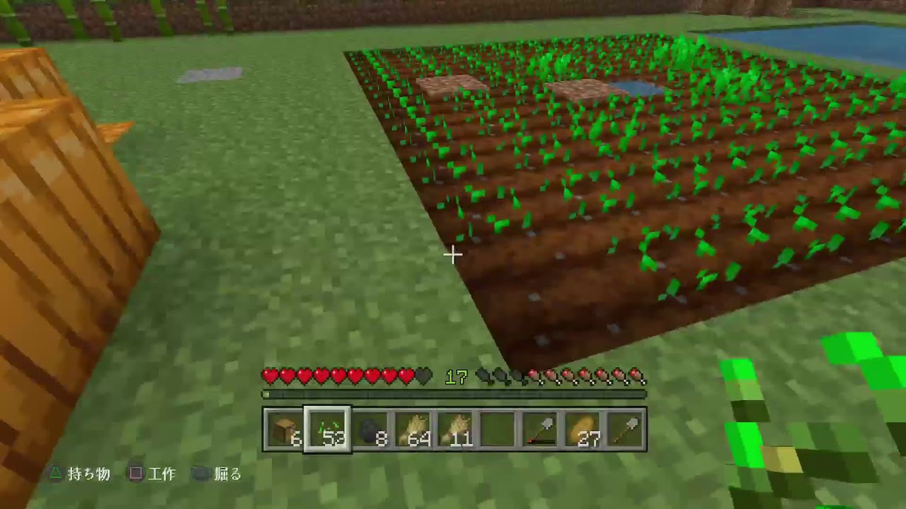 マインクラフト*PS4