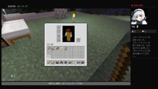 （PS4版）ゆったりまったりマインクラフト　おちゃごりと適当に