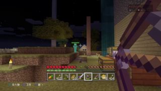 PS4版　夜行性縛りのマインクラフトpart174