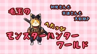 [モンスターハンターワールド]下手くそ女のモンハン