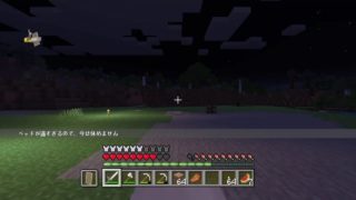 #マインクラフト　#参加型　#初心者　#PS4版　#サバイバル