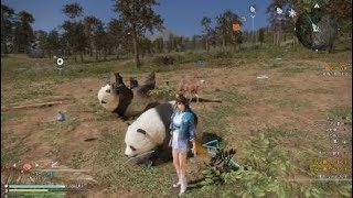 真・三國無双８_群狼