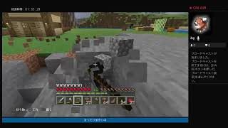 骨は深夜にコソコソマインクラフト