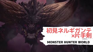【モンスターハンター：ワールド】片手剣：ネルギガンテ、レイギエナx2ほか【ソロ】