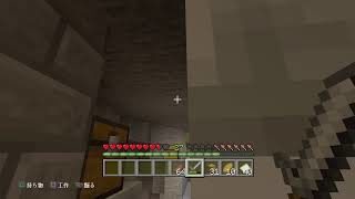 １人で淡々と進めるマインクラフト*PS4*