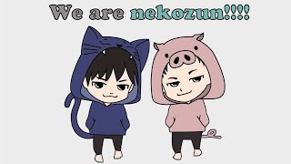 【スプラトゥーン２】ねこずんのエリアリグ配信