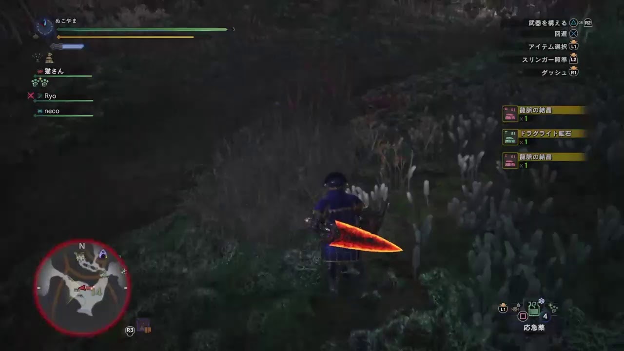 ﾓﾝｽﾀｰﾊﾝﾀｰ：ﾜｰﾙﾄﾞ ＃88 のんびり調査