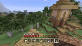 マインクラフト(サバイバル)