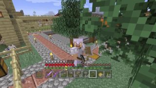 【 9 】今さら再開するマインクラフト【のんびり】