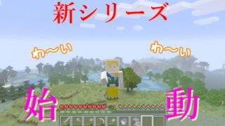 【新シリーズ】世界全部を街にする！！【マインクラフト】
