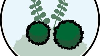 [マインクラフト]参加型 ps4　 初見歓迎