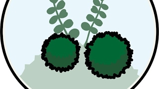 [マインクラフト]参加型 ps4　 初見歓迎