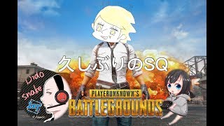 【PUBG/初見歓迎】耳、興奮すんじゃねぇぞ【女性実況】