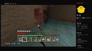 PS4版 マインクラフト#46　さっき唐揚げ食べて寝れないので、まったりライブ