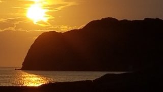 モンスターハンターワールドやります