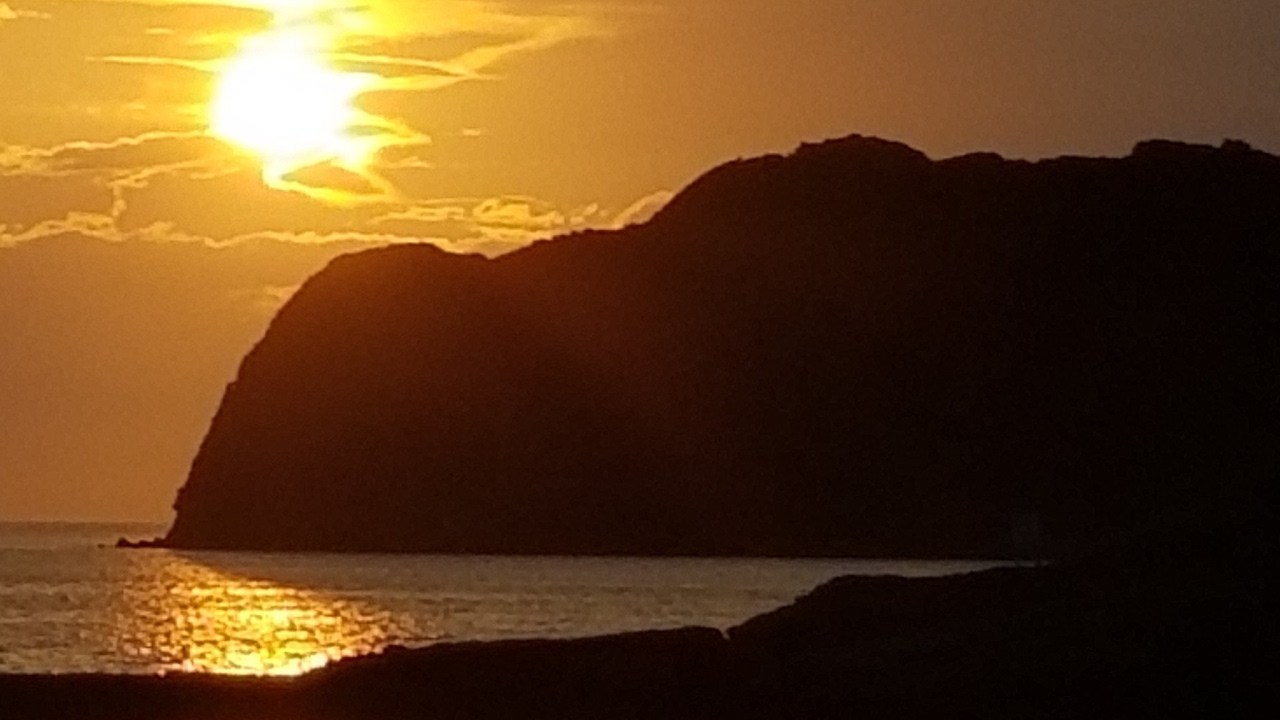 モンスターハンターワールドやります