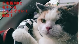 【ミケクラ】マインクラフトJE1.14　思い向くまま気の向くまま・・・（オジサンだけど．．．）