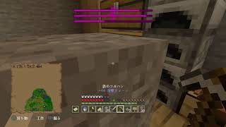 マインクラフト