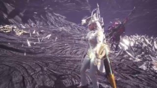 モンスターハンターワールド　エラーなるな泣