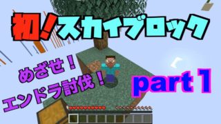 【マインクラフト】スカイブロック‼︎初心者がエンドラ討伐をめざす！Part1