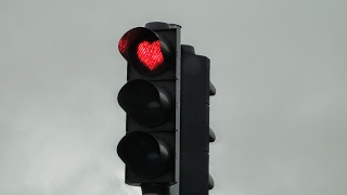 ［MHW］  もはや日課となりつつあります　　モンスターハンターワールド