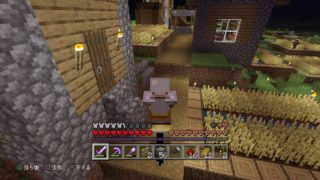 [マインクラフト PS4]この素晴らしい世界に繁栄を。