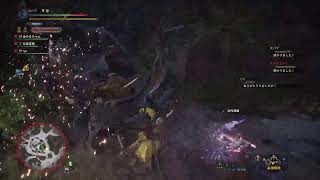 [モンスターハンターワールド]　エンシェントレーシェン　事故発生なるか？？？