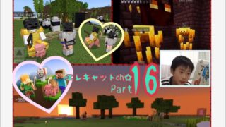 Minecraft“マインクラフト”Part16☆ネザー編♪♪ゲート移動してもあそこだったwwエレキャットElecat ch☆