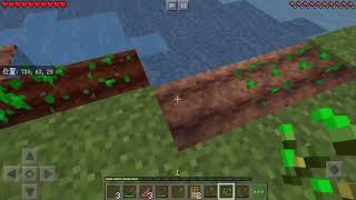 【マインクラフト】タツクラpart2畑を作ってみた結果凄いことに！！【Minecraft】【タツボンチャンネル】