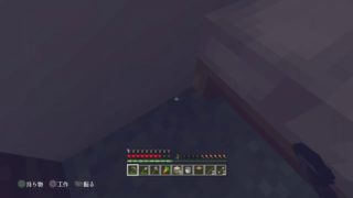 [サバイバル]マインクラフト　ココクラ実況＃１