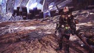 モンスターハンターワールド　HR50以上の先を目指して  その１