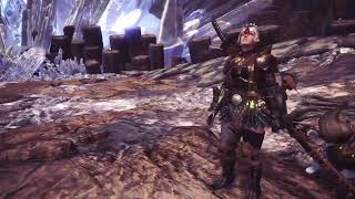 モンスターハンターワールド　HR50以上の先を目指して  その１