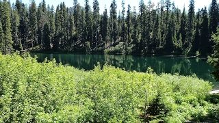 ドラゴンボールファイターズ練習中　ライブ